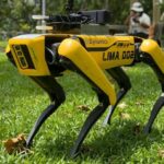 Cane robot fa guardia contro violazioni di distanziamento sociale: la scelta hi-tech di Singapore