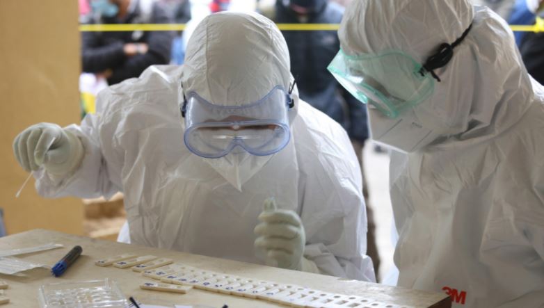 Una nuova pandemia in arrivo? Cosa sappiamo davvero sull'”allarme” del CDC sulla Candida auris