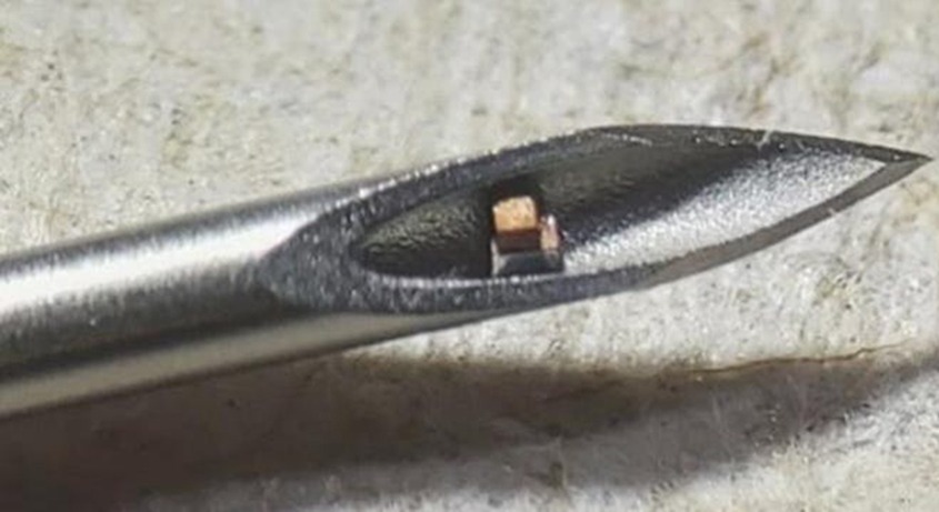 Ecco il chip sottocutaneo più piccolo del mondo: è invisibile a occhio nudo, si inietta e misura la temperatura
