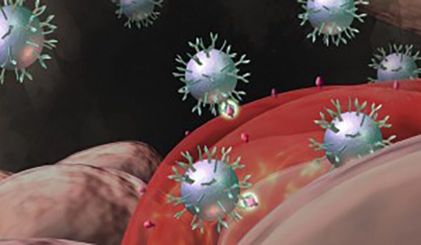 Nanoparticelle superparamagnetiche per aumentare efficienza dei vaccini a DNA