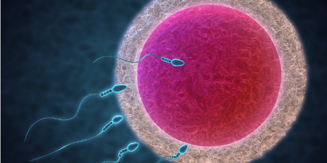 The Lancet : Accelerare il declino della fertilità in tutto il mondo