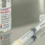 Giappone un farmacista scopre sostanze estranee nei vaccini Moderna il Giappone blocca i lotti