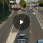 Gli sloveni invadono l'autostrada per protestare contro il passaporto vaccinale