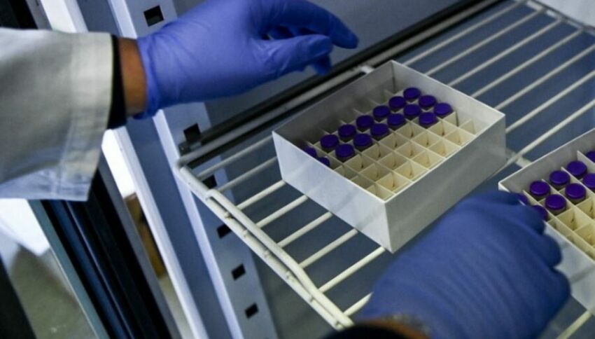 Pfizer-gate, le accuse della gola profonda del laboratorio: avrebbero falsificato i dati relativi al vaccino anti-Covid