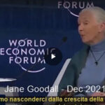 Antropologa Jane Goodall al WEF: Siamo in troppi su questo pianeta l'ideale sarebbe 500 milioni di abitanti