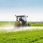 Studio: esposizione ai pesticidi contribuisce alla morbilità e alla mortalità nei lavoratori agricoli e nelle loro famiglie
