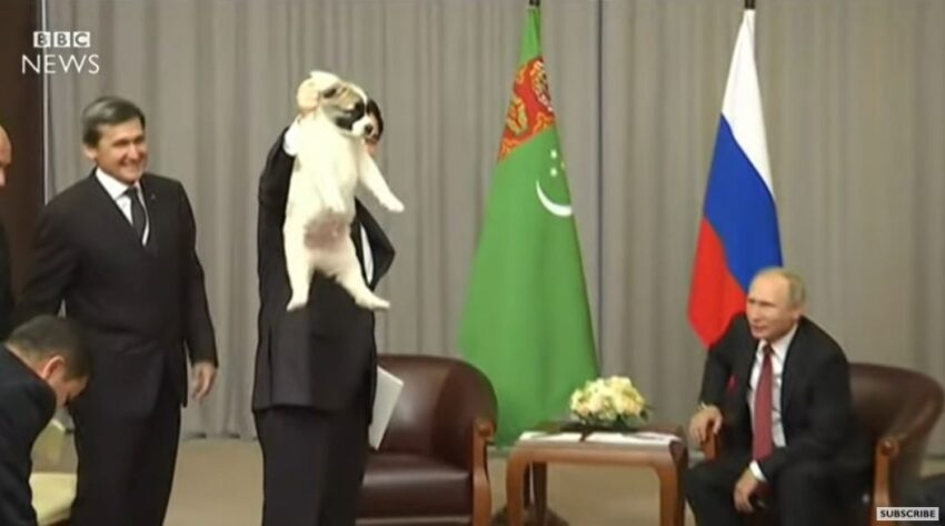 Putin ha ricevuto un cucciolo dal Turkmenistan per il suo compleanno