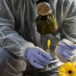 Nel miele americano trovate tracce radioattive dei test nucleari fatti negli anni ‘50