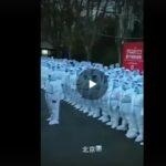Cina: Le "guardie" COVID si sono mobilitate a Pechino