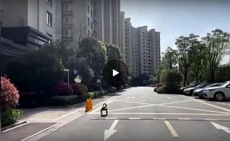 A Shanghai in lockdown cani robot per ricordare le regole ai cittadini