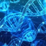 Ecco come il coronavirus può entrare a far parte del nostro DNA