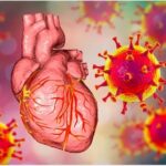 È provato: la proteina spike aumenta gli attacchi cardiaci e danneggia il sistema immunitario