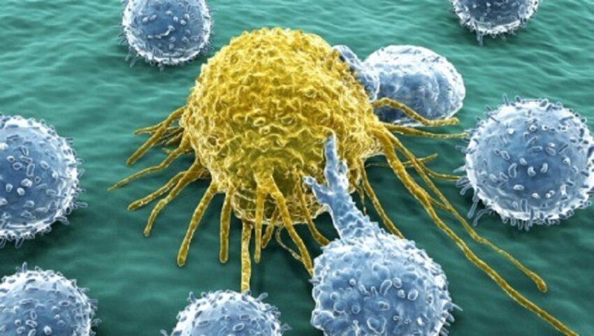 Raggiunta la Prova che il cancro nell’uomo è dovuto a un virus (LaStampa 1996)