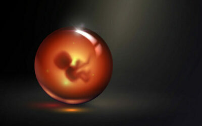 Israele crea embrioni sintetici, i primi al mondo: «Non ci sarà più bisogno di spermatozoi e ovaie»