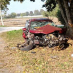 Auto contro una pianta, grave una donna 43enne, forse un malore improvviso