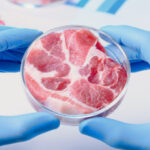Israele ha il primo impianto al mondo di carne sintetica coltivata in laboratorio