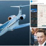 Twitter sospende @elonjet, l'account che tracciava l'aereo di Elon Musk