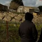 La confessione di un carabiniere: "Potevamo arrestare Provenzano 5 anni prima. Ci hanno bloccato"