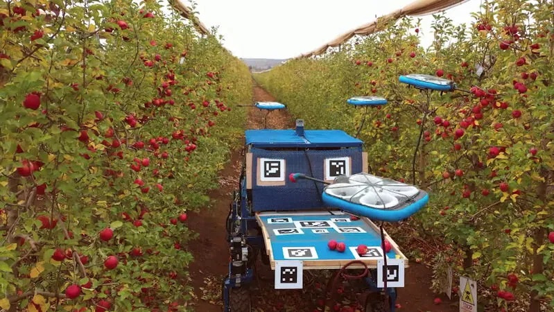 Da Israele arriva l’impollinazione artificiale per incrementare i rendimenti agricoli e i Droni intelligenti per la raccolta della frutta