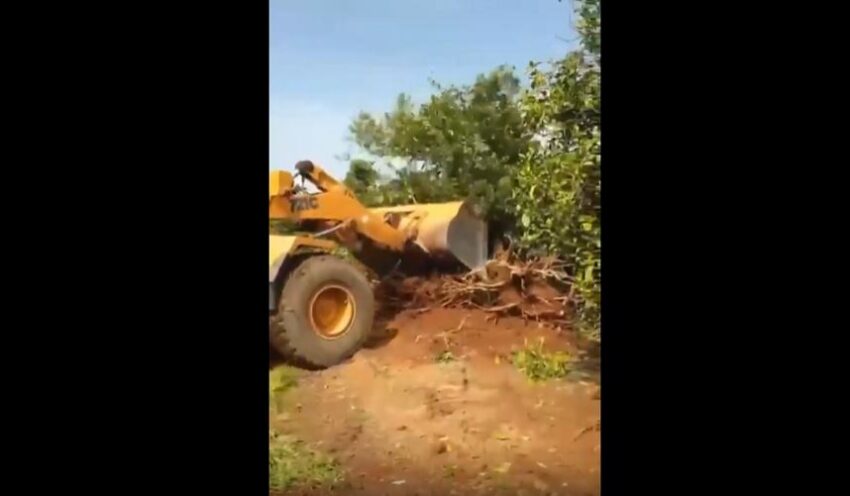Spagna, esproprio forzato di terreni agricoli: ettari di aranceti distrutti per far spazio al fotovoltaico