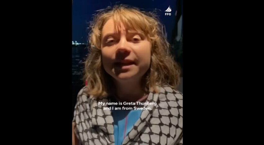 L’appello di Greta Thunberg: “Siamo stati rapiti dalle forze di occupazione israeliane”